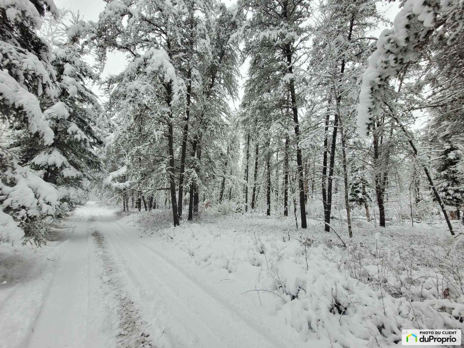 Terrain résidentiel à vendre Kazabazua 1029822