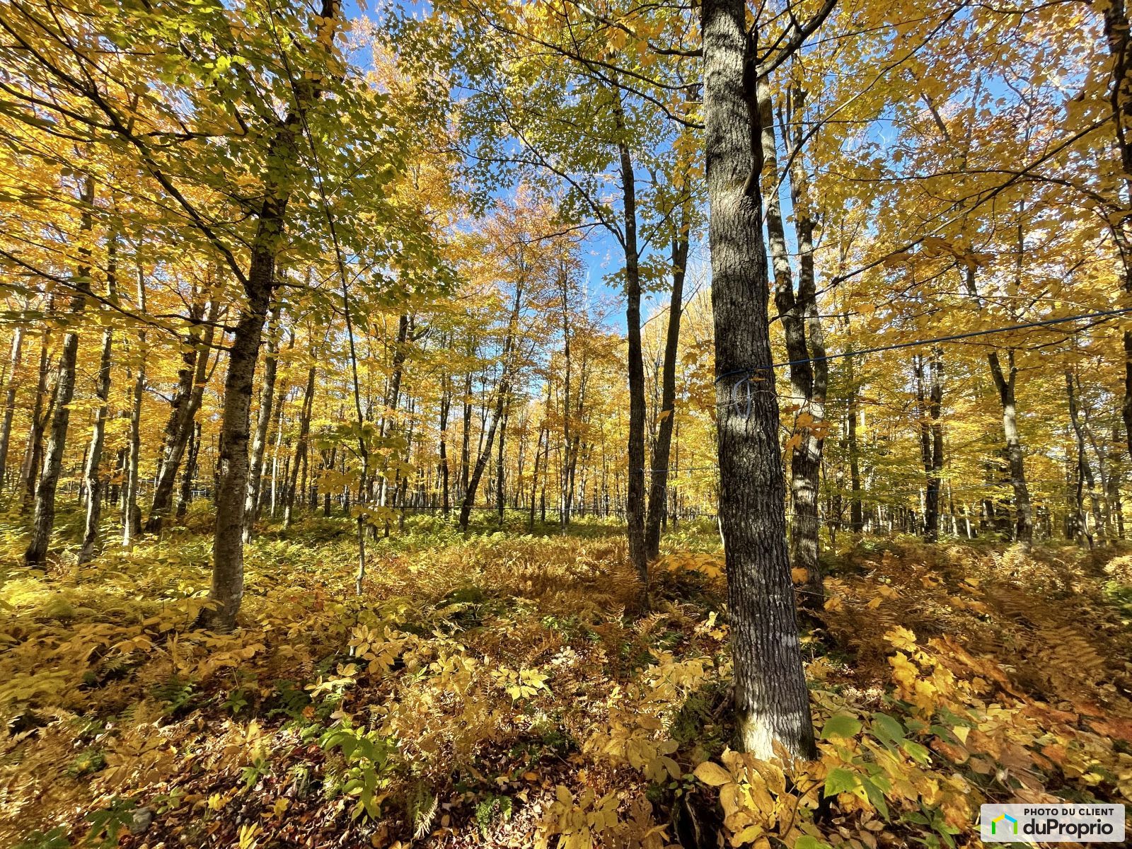 Residential Lot for sale 1030287