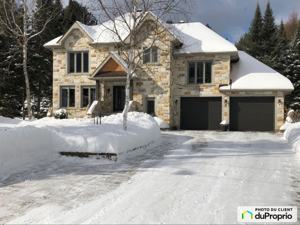 Maisons à vendre, MontTremblant (StJovite)