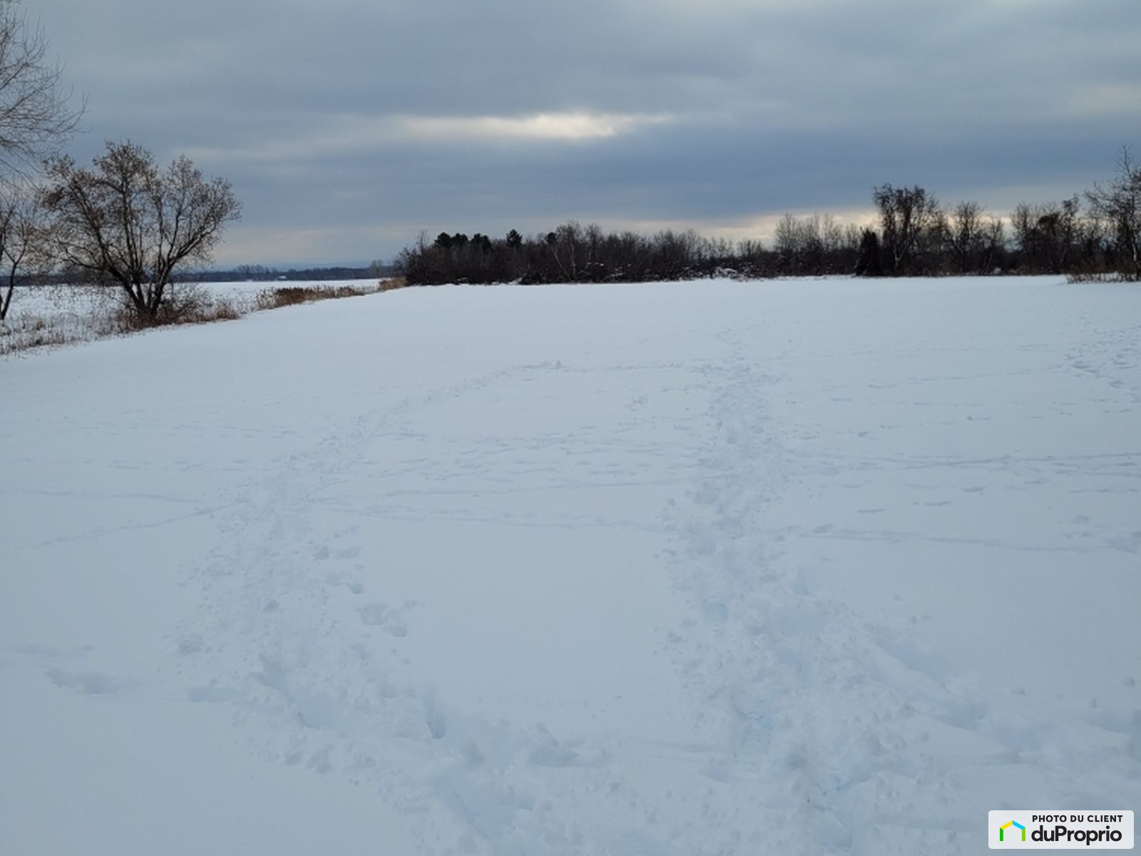 Arable Land for sale Dundee 1035500