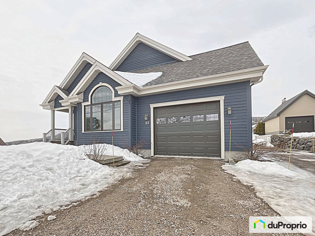 Condos, maisons à vendre, StIrenee