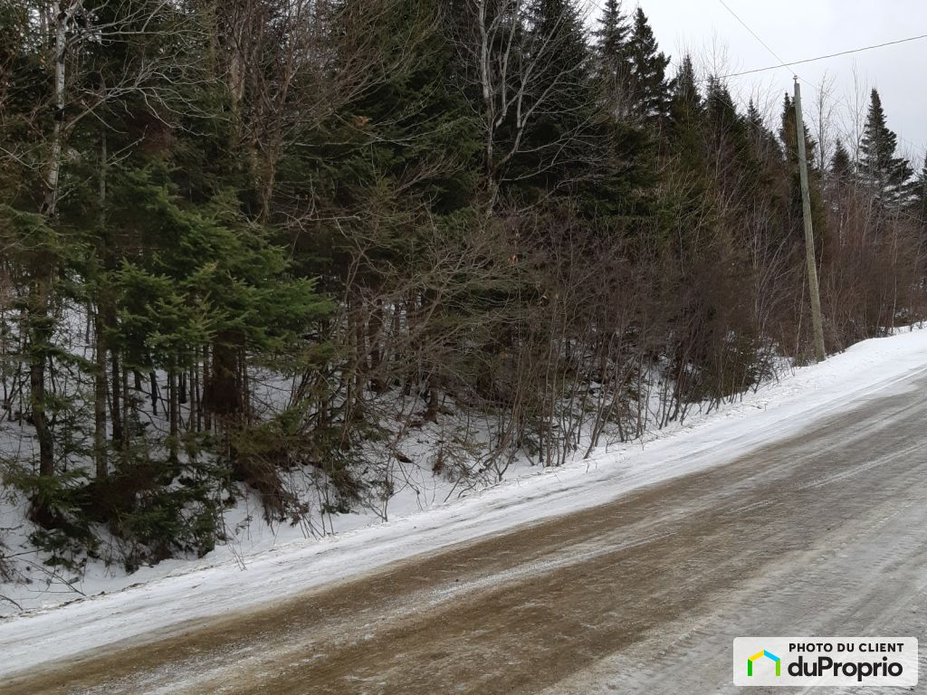 Condos, maisons à vendre, NotreDameDesBois