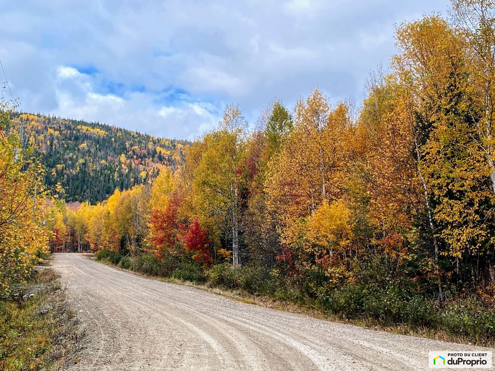 Terrain résidentiel à vendre PetiteRivièreStFrançois 1041500