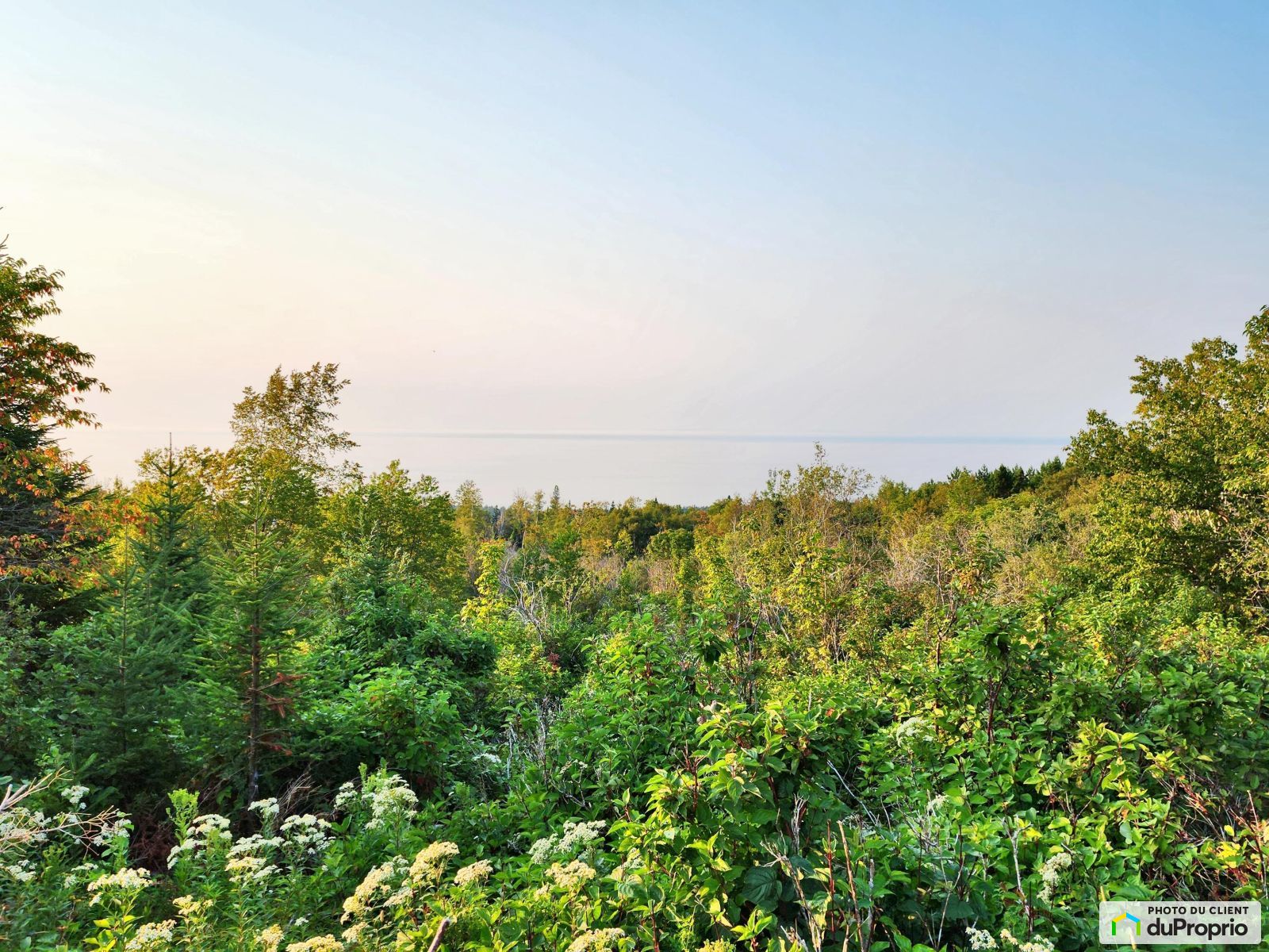 Terrain résidentiel à vendre GrossesRoches 1041667