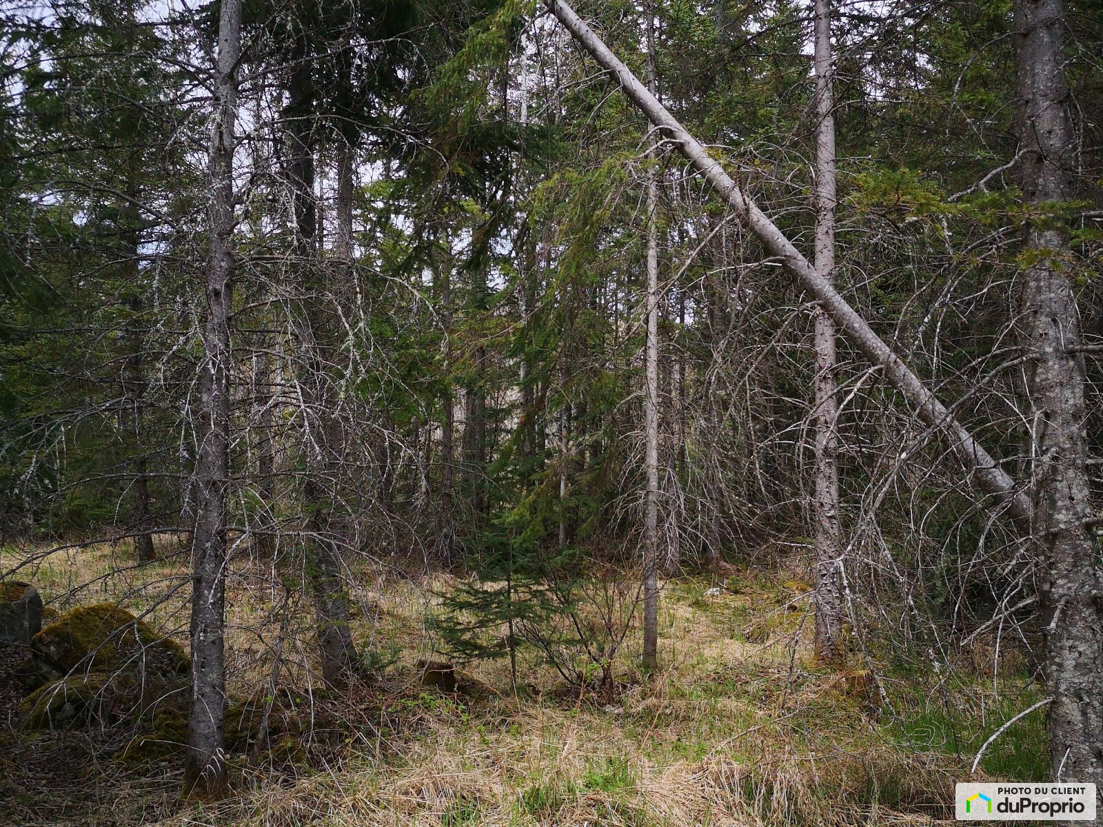 11 13 15 Chemin De Lange — photo 3