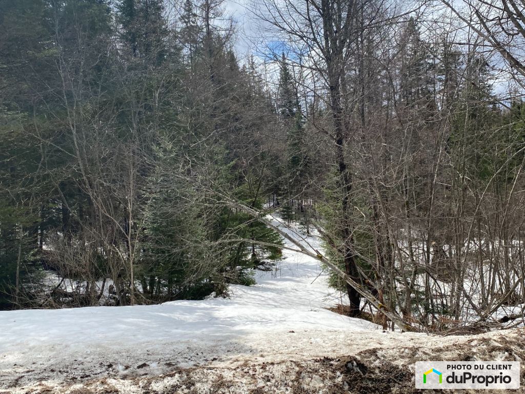 Houses for sale in StAdolpheD'Howard, Real Estate DuProprio