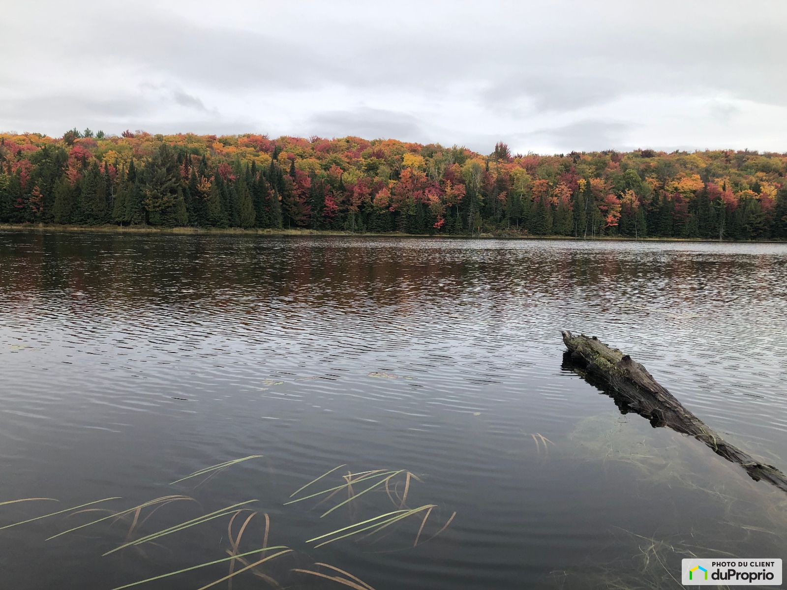 Chemin Du Lac Ida — photo 3