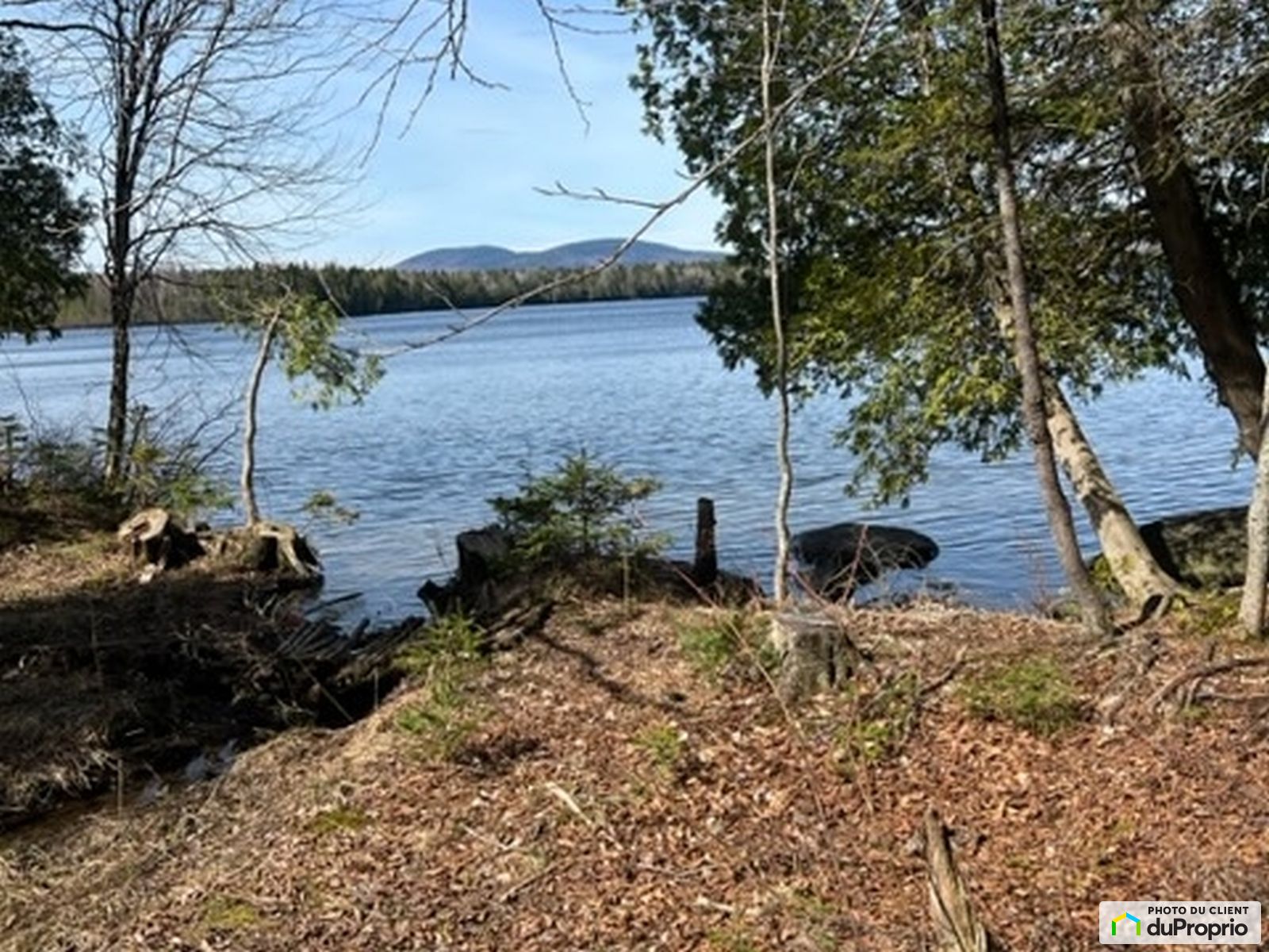 5E Rang — photo 3