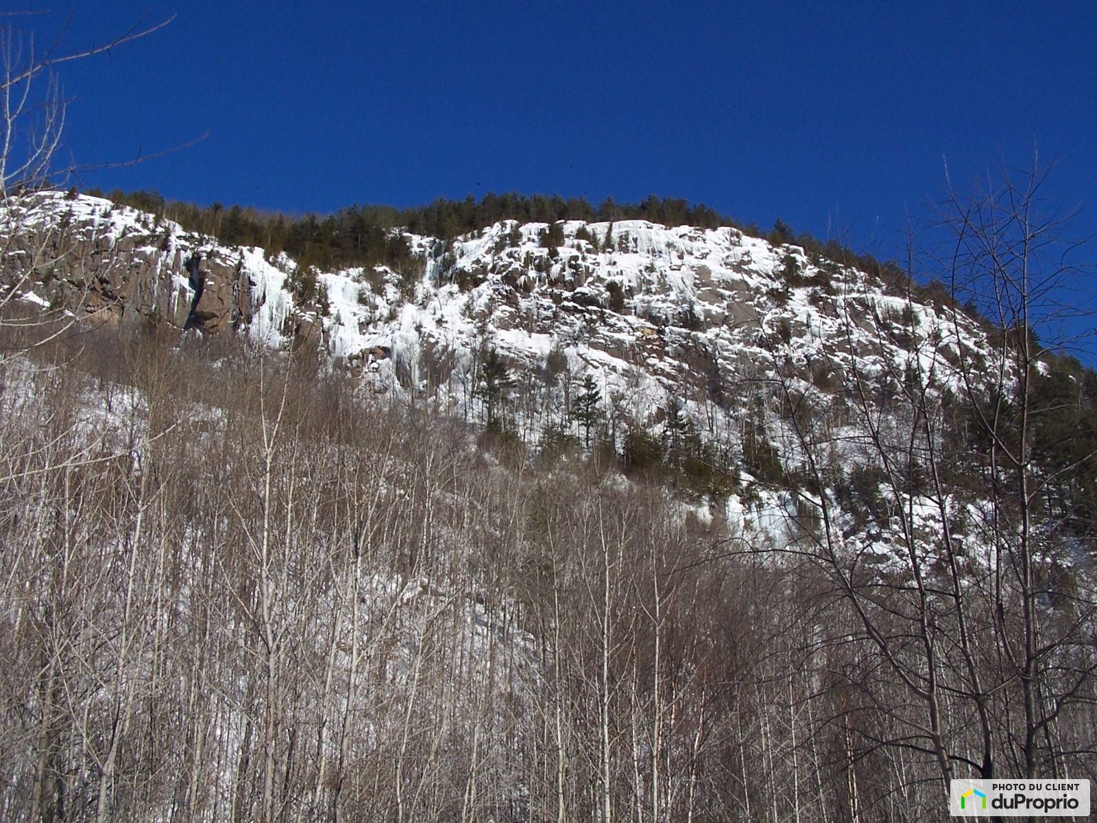 Terre à développer à vendre StAlexisDesMonts 1040784