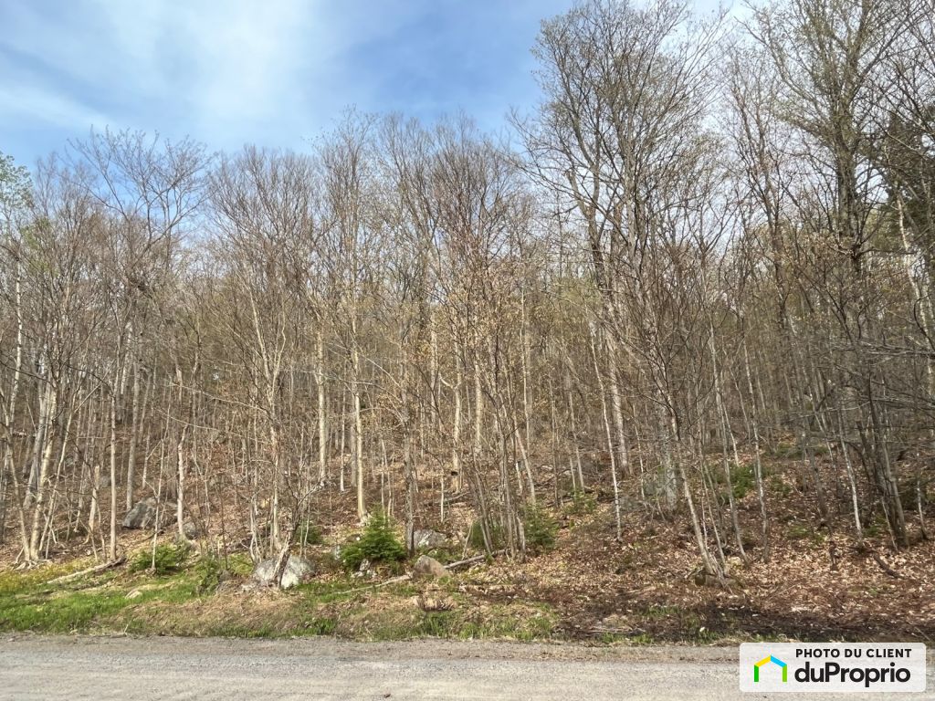 Condos, maisons à vendre, SteAgatheDesMonts