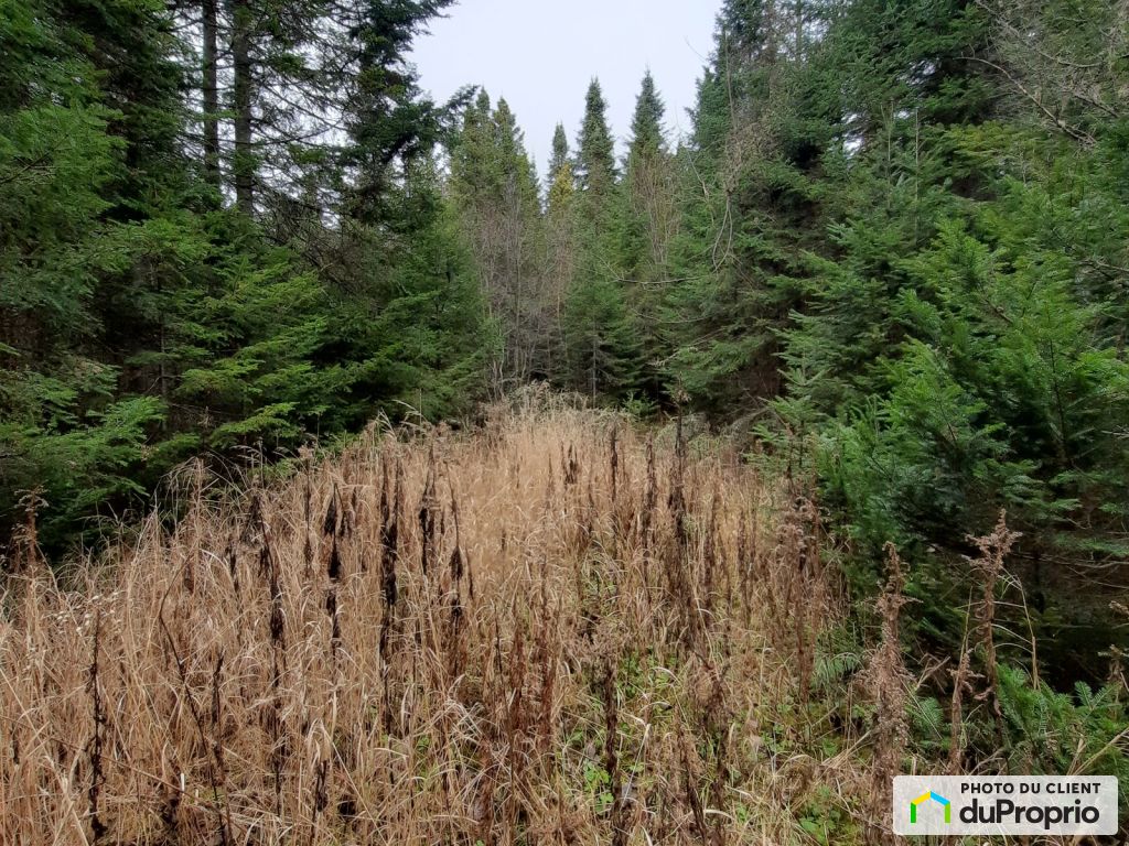 Terrains à vendre, StDonat