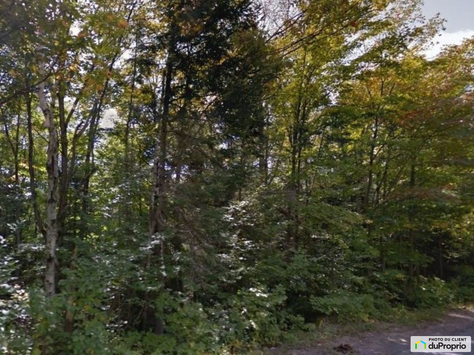 Terrain résidentiel à vendre SteAdèle 1045026