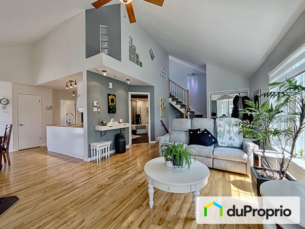 325, rue Damien-Benoît, Mont-St-Hilaire à vendre