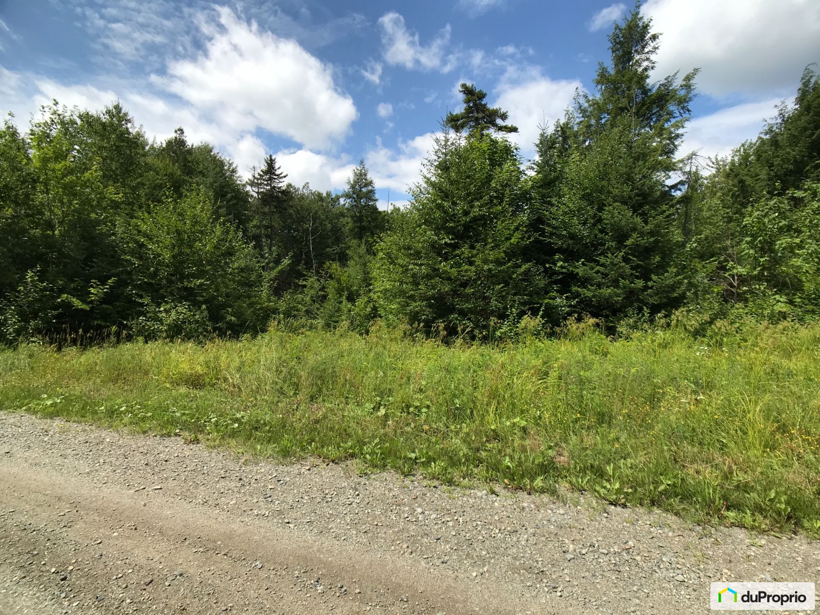 Chemin Des Hiboux — photo 3