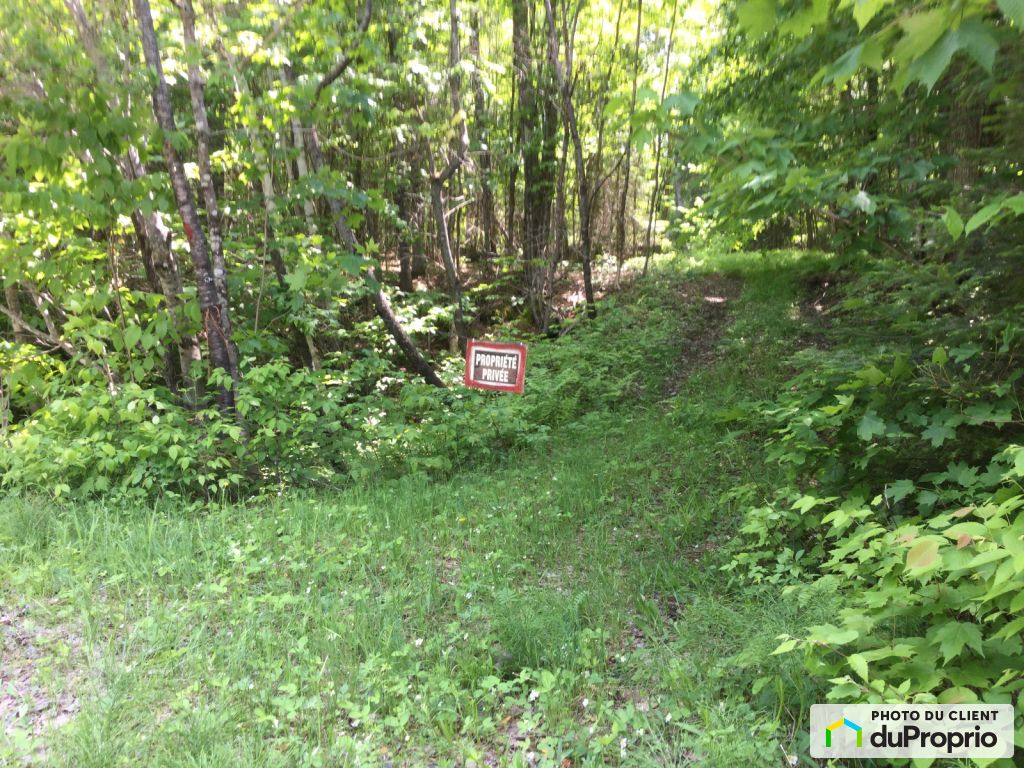 Condos, maisons à vendre, Nominingue