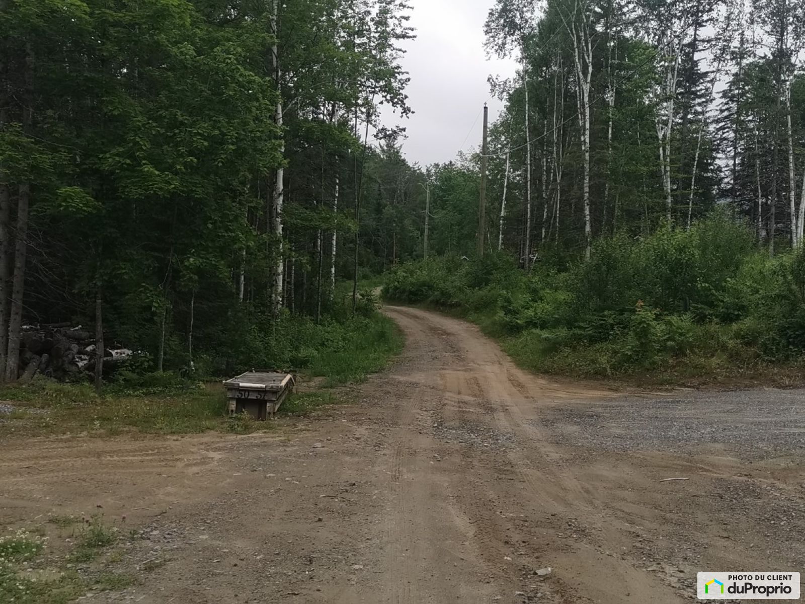 61 Chemin De La Rive — photo 3