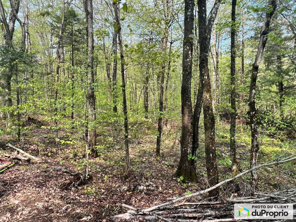 Houses for sale in WentworthNord, Real Estate DuProprio