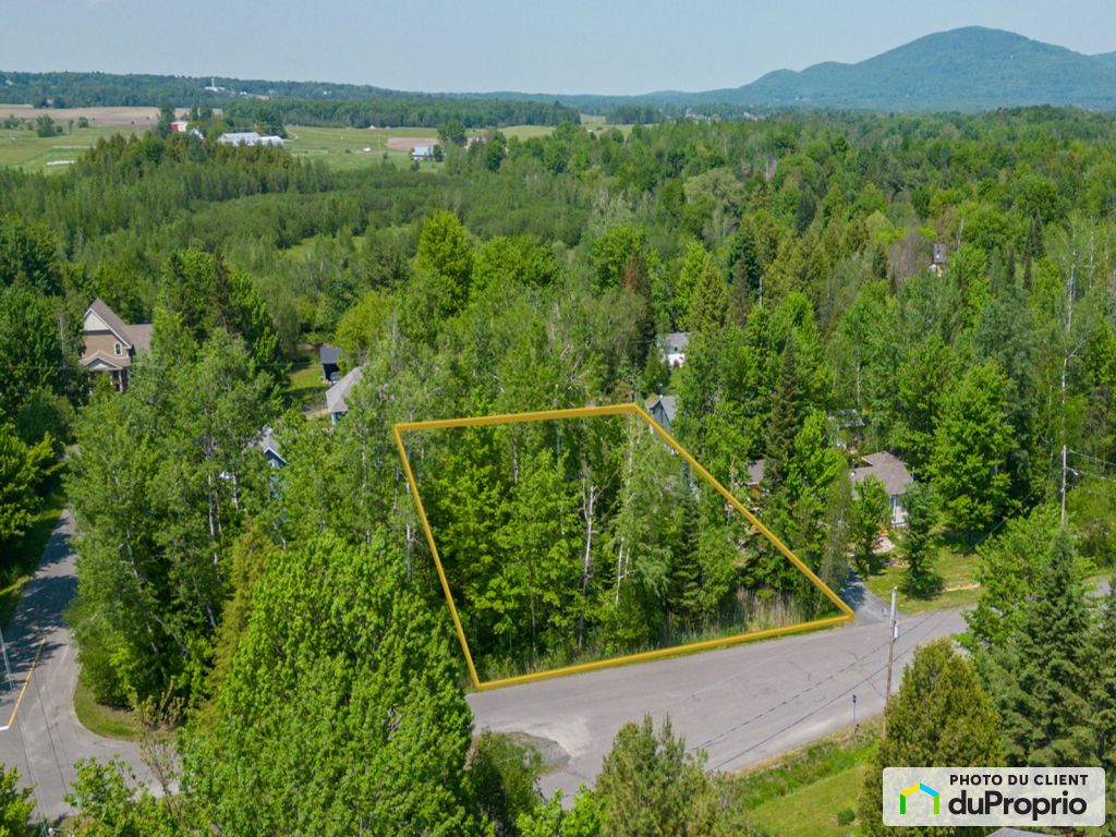 Condos, maisons à vendre, Bromont