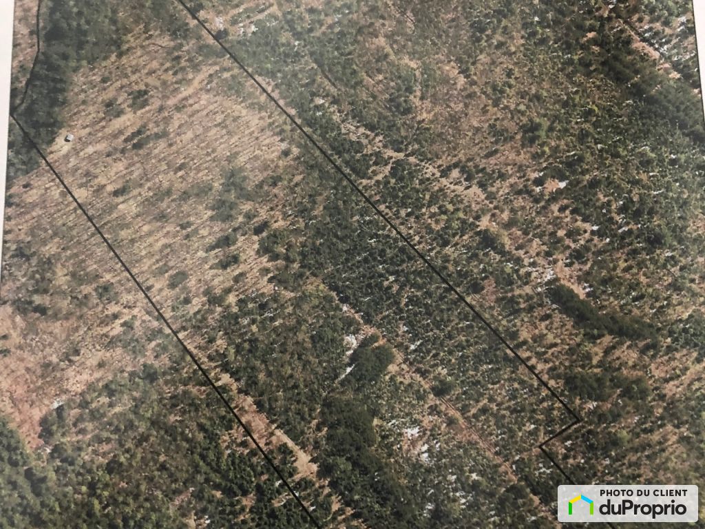 Condos, maisons à vendre, SteMarieDeBlandford