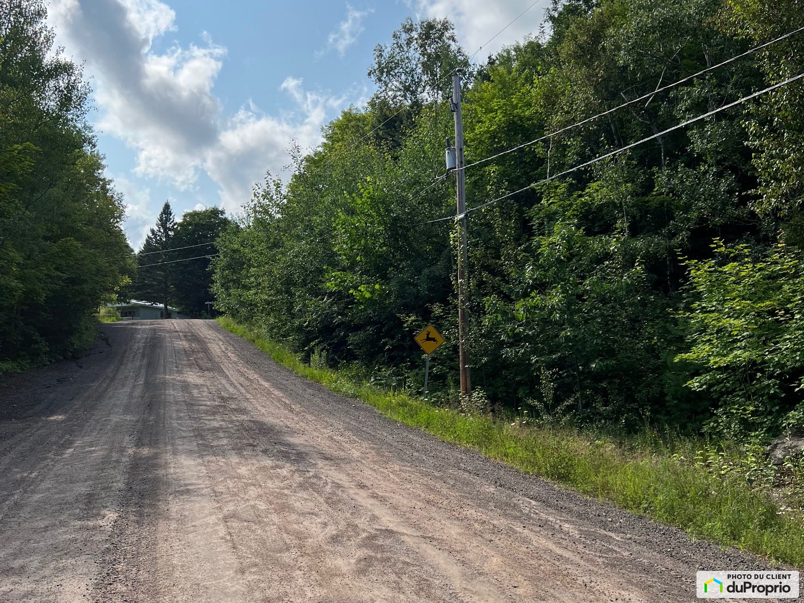 Chemin Edina — photo 3
