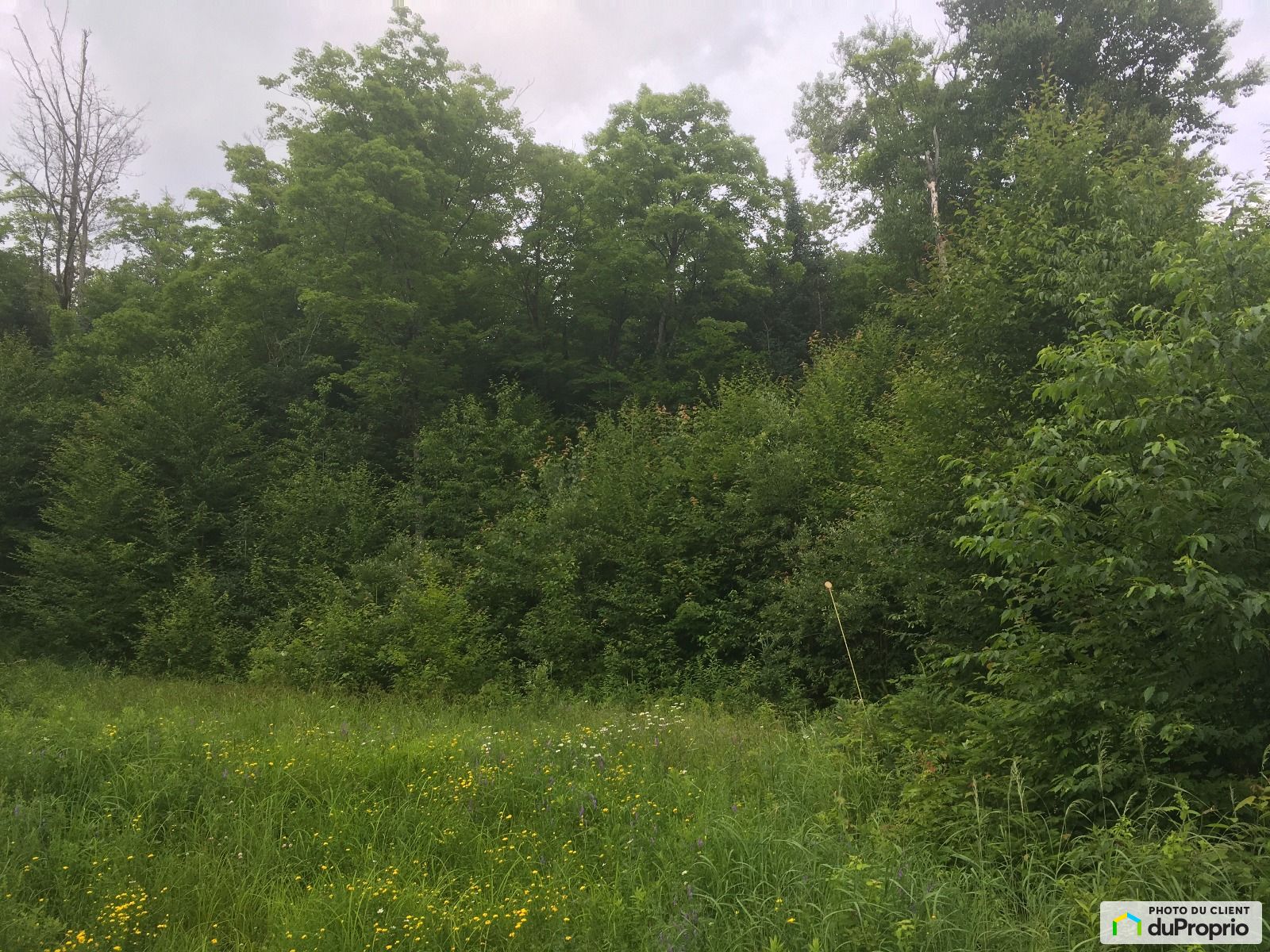 Residential Lot for sale Lac-Superieur