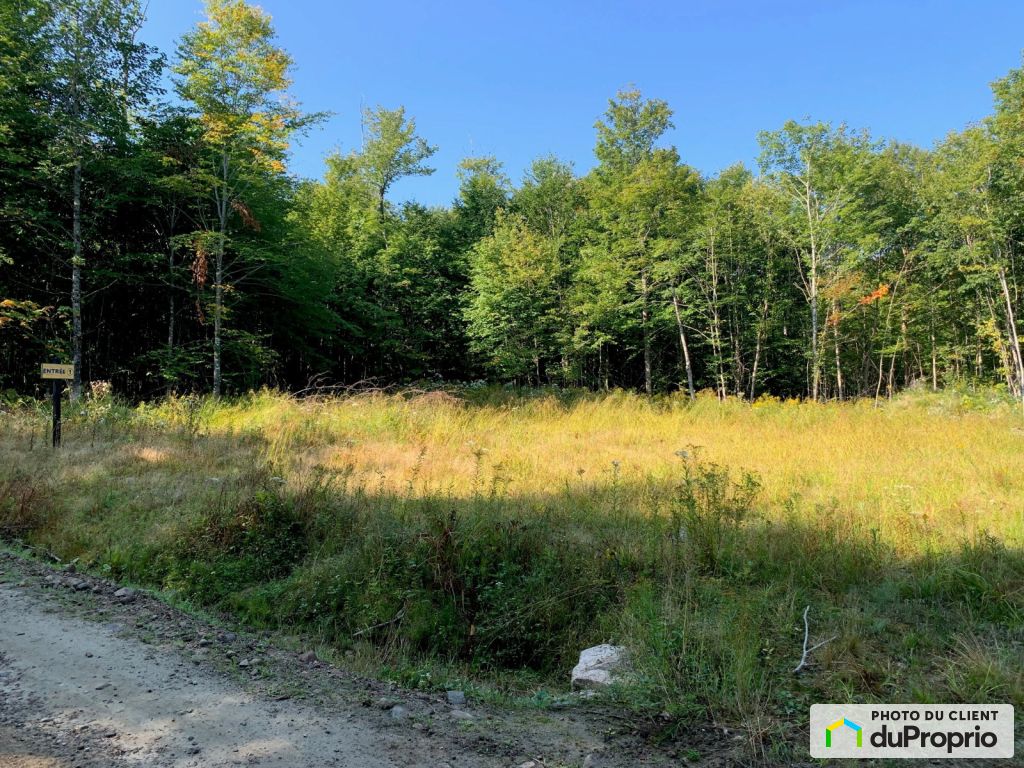 Condos, maisons à vendre, Kiamika