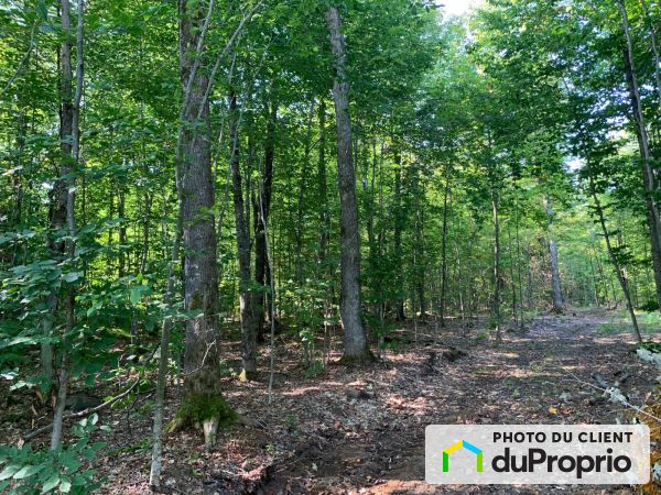 Woods -  chemin Chapleau, Kiamika for sale