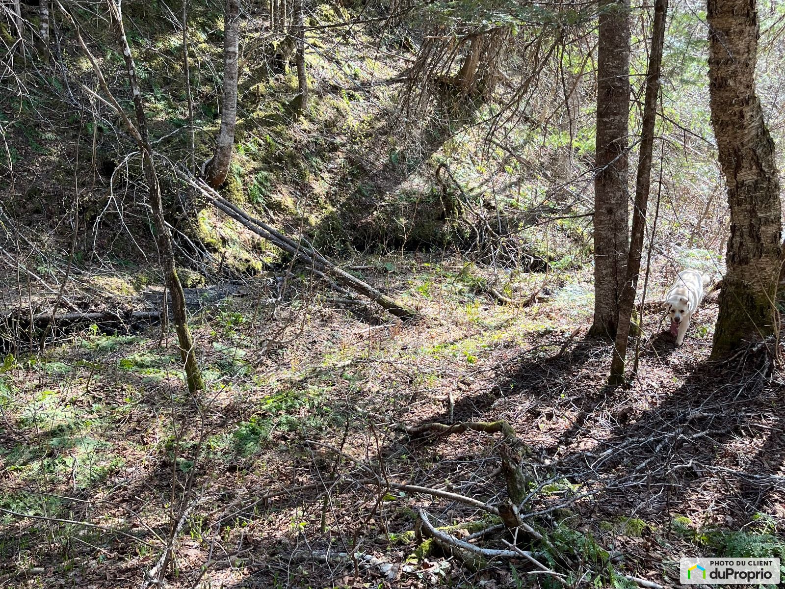 Chemin De La Pree — photo 1