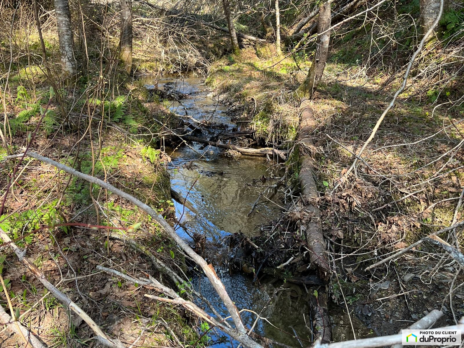 Chemin De La Pree — photo 2