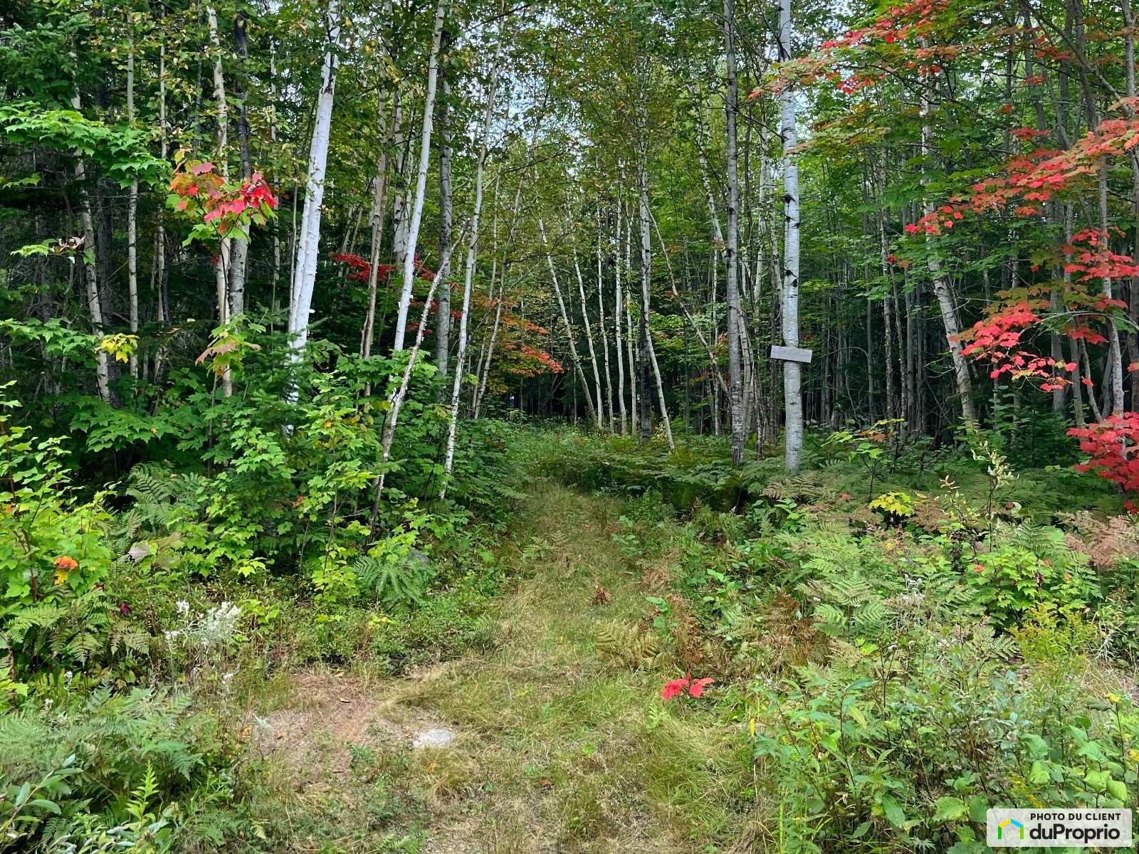 Terrain résidentiel à vendre PetiteRivièreStFrançois 1055132