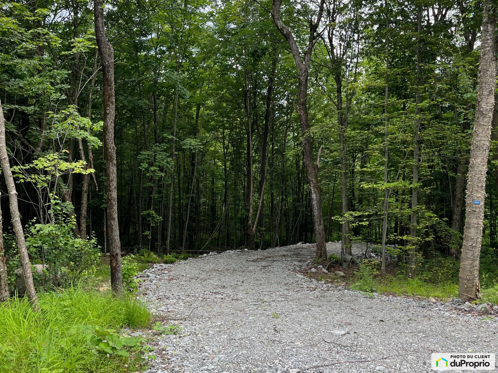 Terrain résidentiel à vendre Eastman 1049063