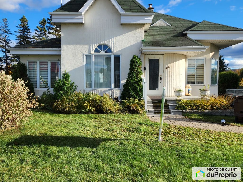 Condos, maisons à vendre, Thetford Mines