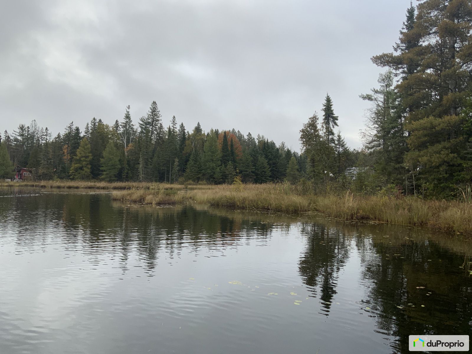 Domaine et villa à vendre Danford Lake 3 chambres 1 salle de bain 1055892