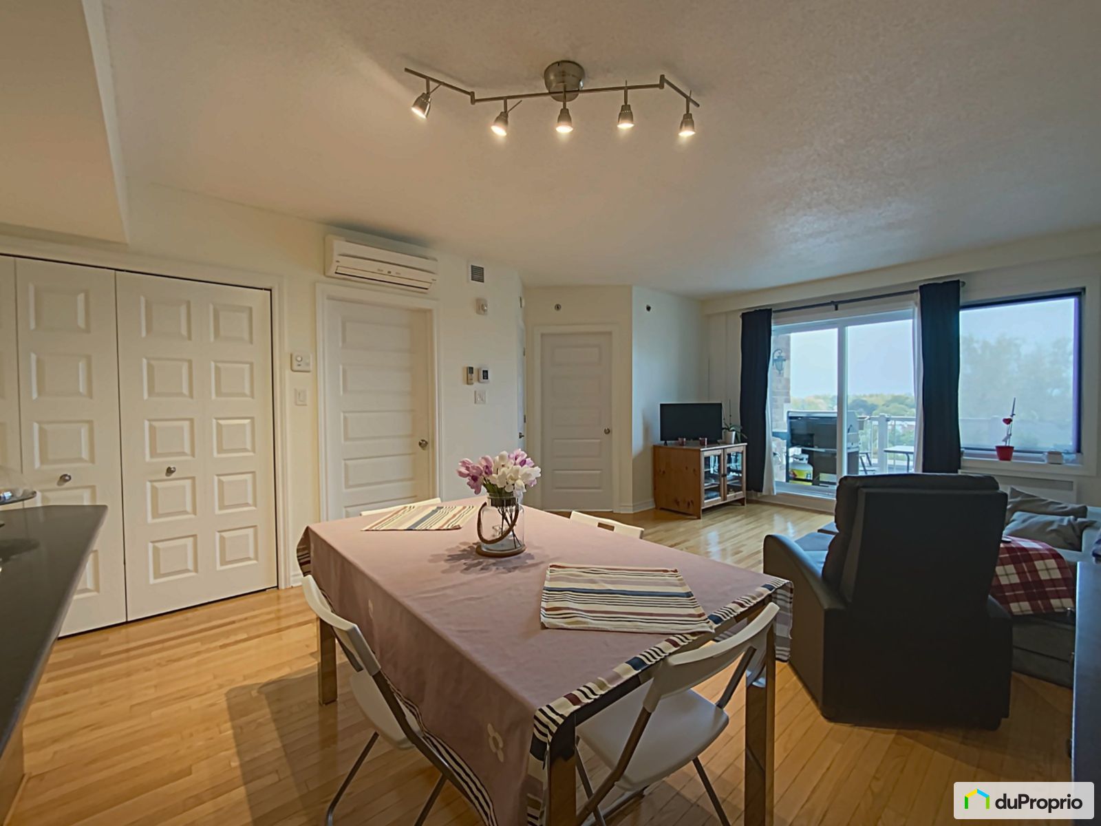 Condo à vendre SaintLaurent 1 chambre 1 salle de bain 1056154