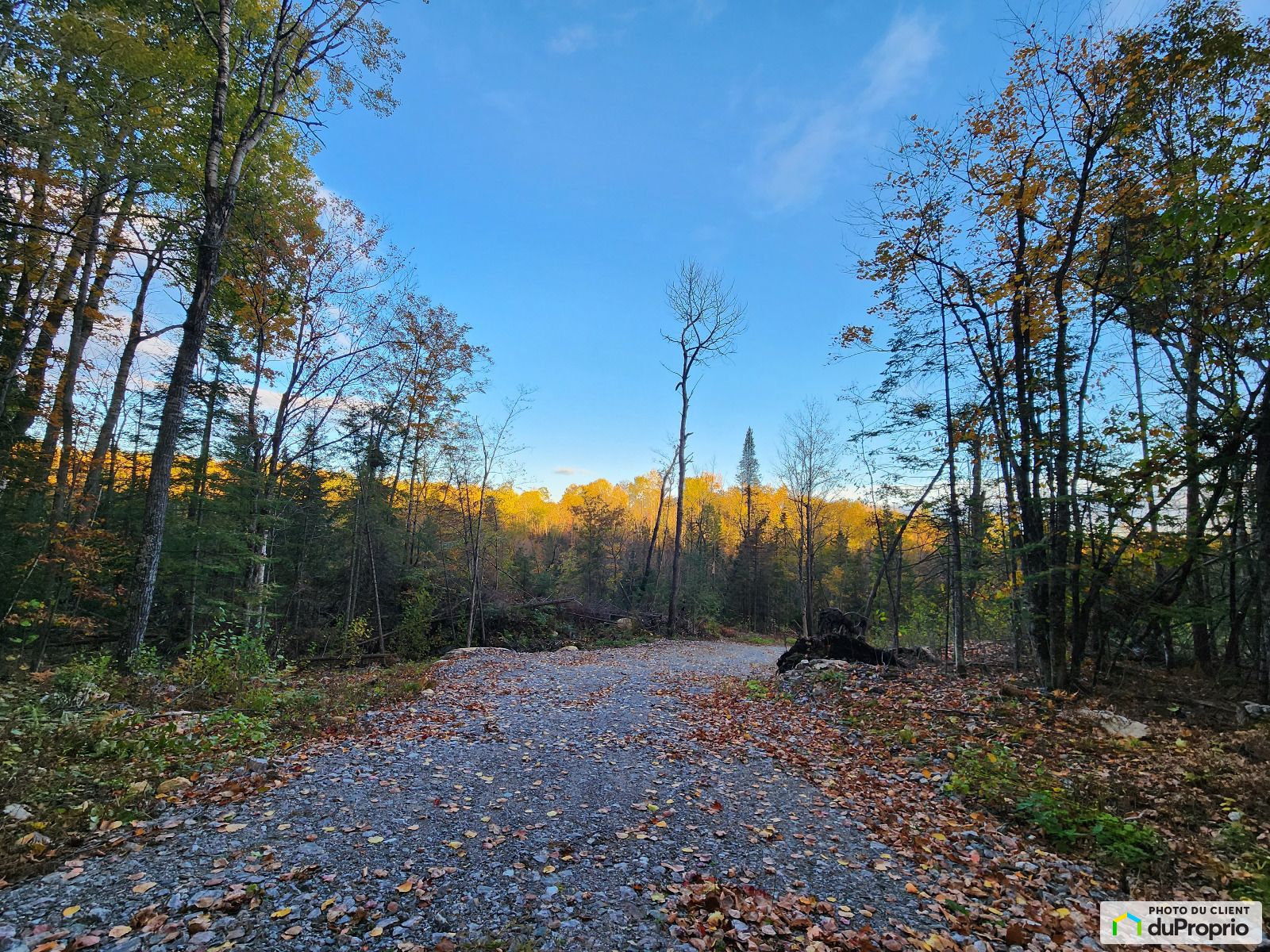 Terrain résidentiel à vendre ValDesMonts (Perkins) 1056726