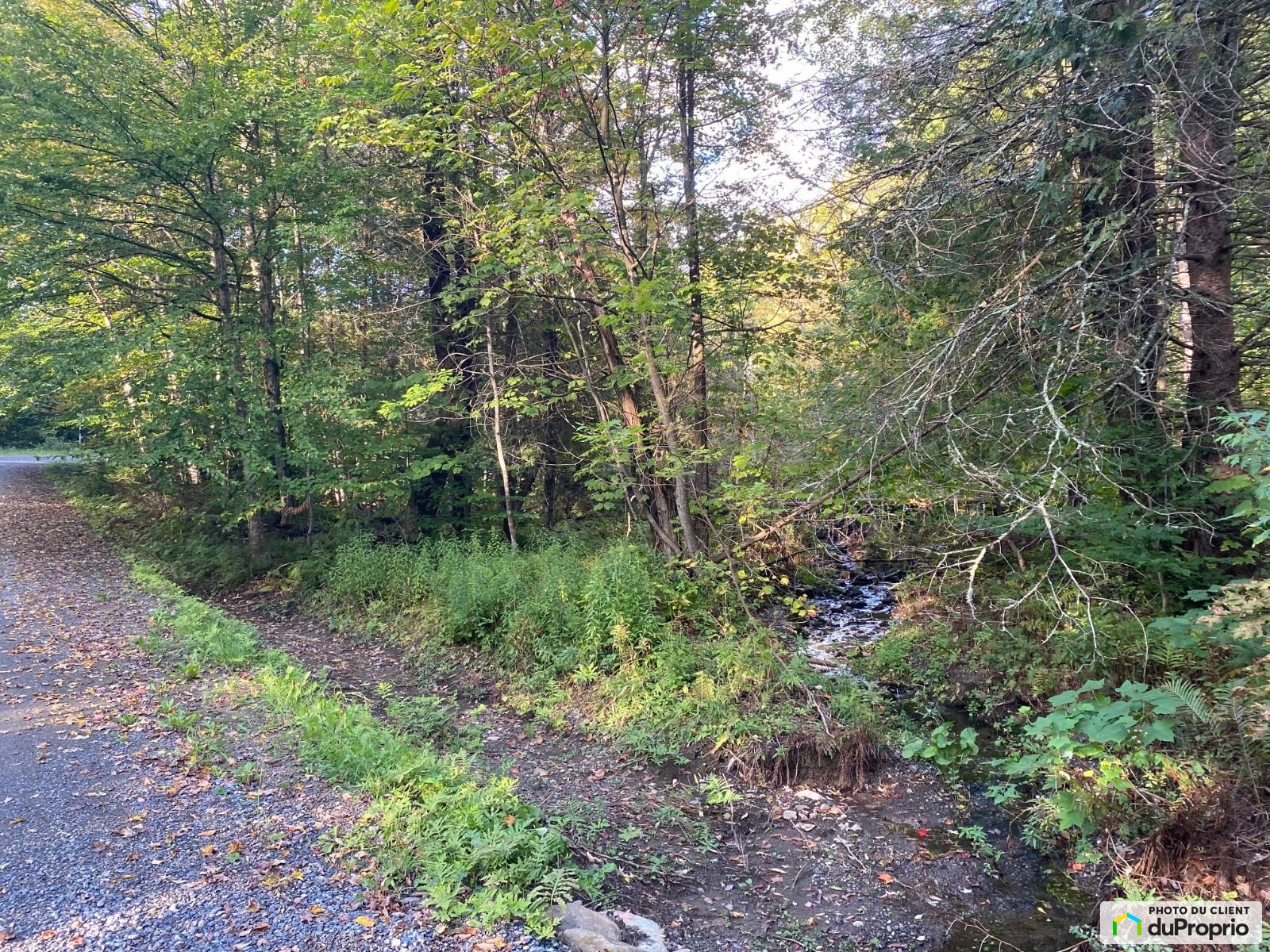 Terrain résidentiel à vendre Potton (Mansonville) 1057502