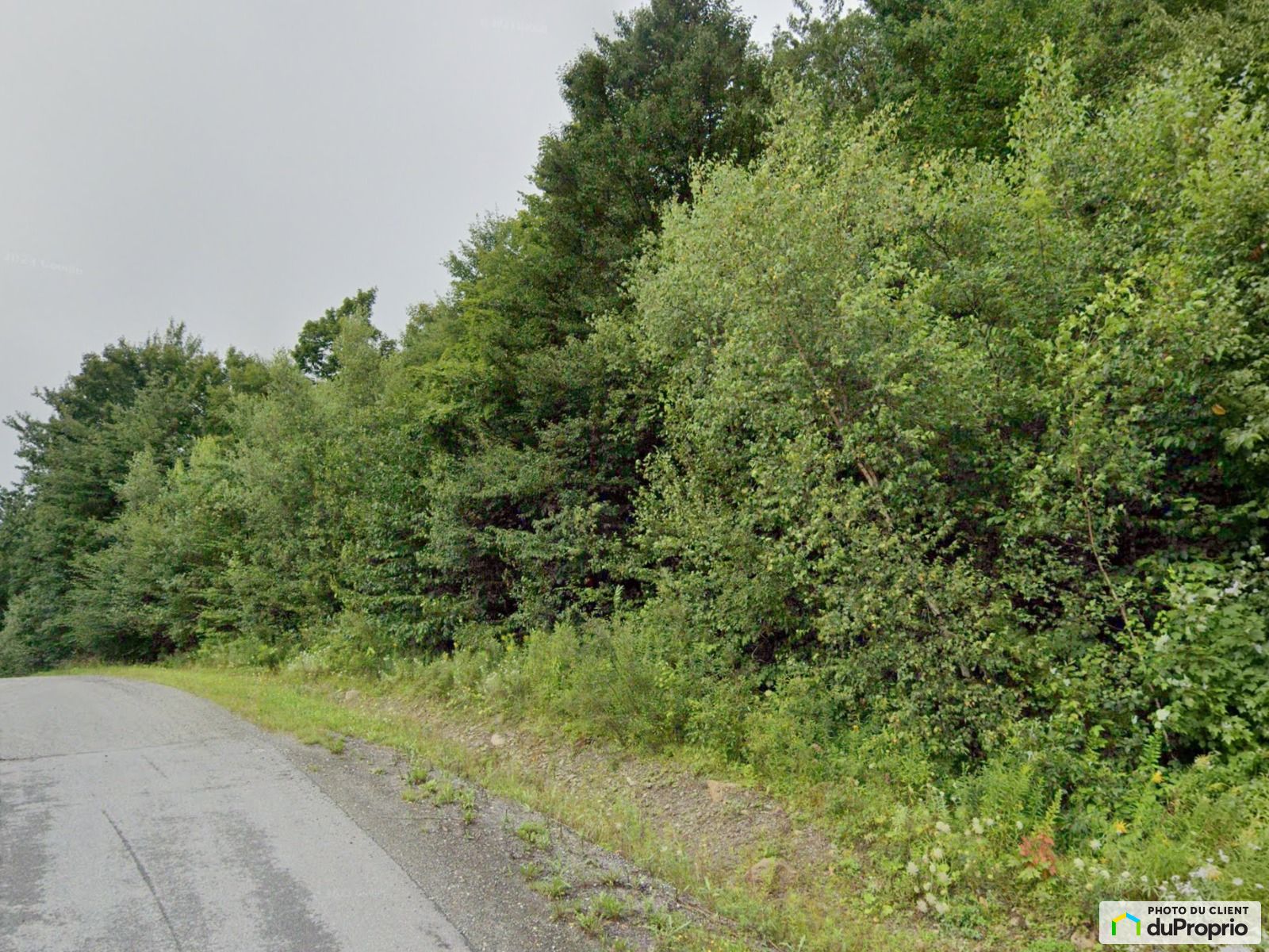 Terrain résidentiel à vendre Shefford 1057443