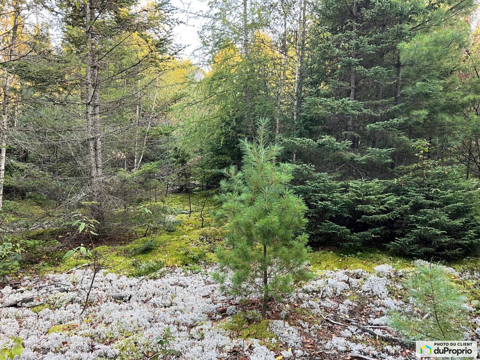 Terrain résidentiel à vendre StRaymond 1058216