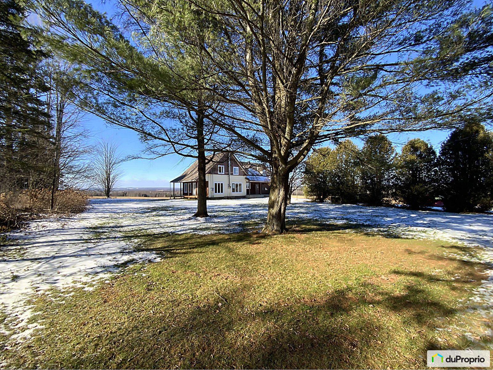 Maison bigénération à vendre CookshireEaton 6 chambres 1059382