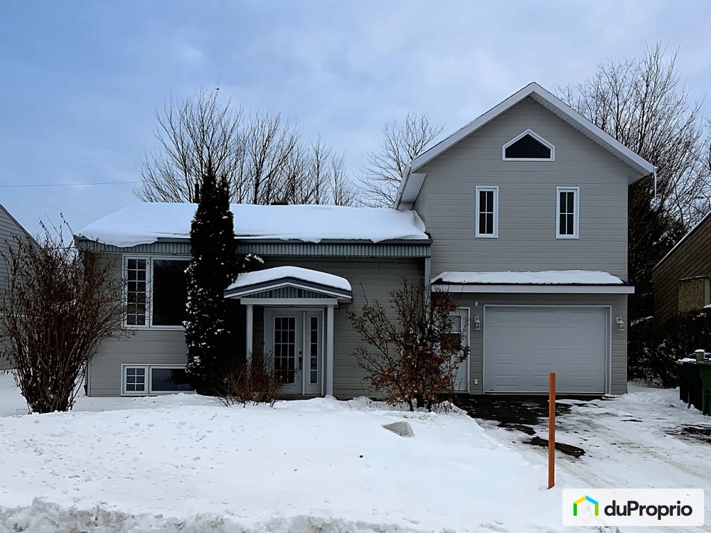 Maison à deux paliers à vendre StÉtienneDeLauzon 3 chambres 1060078