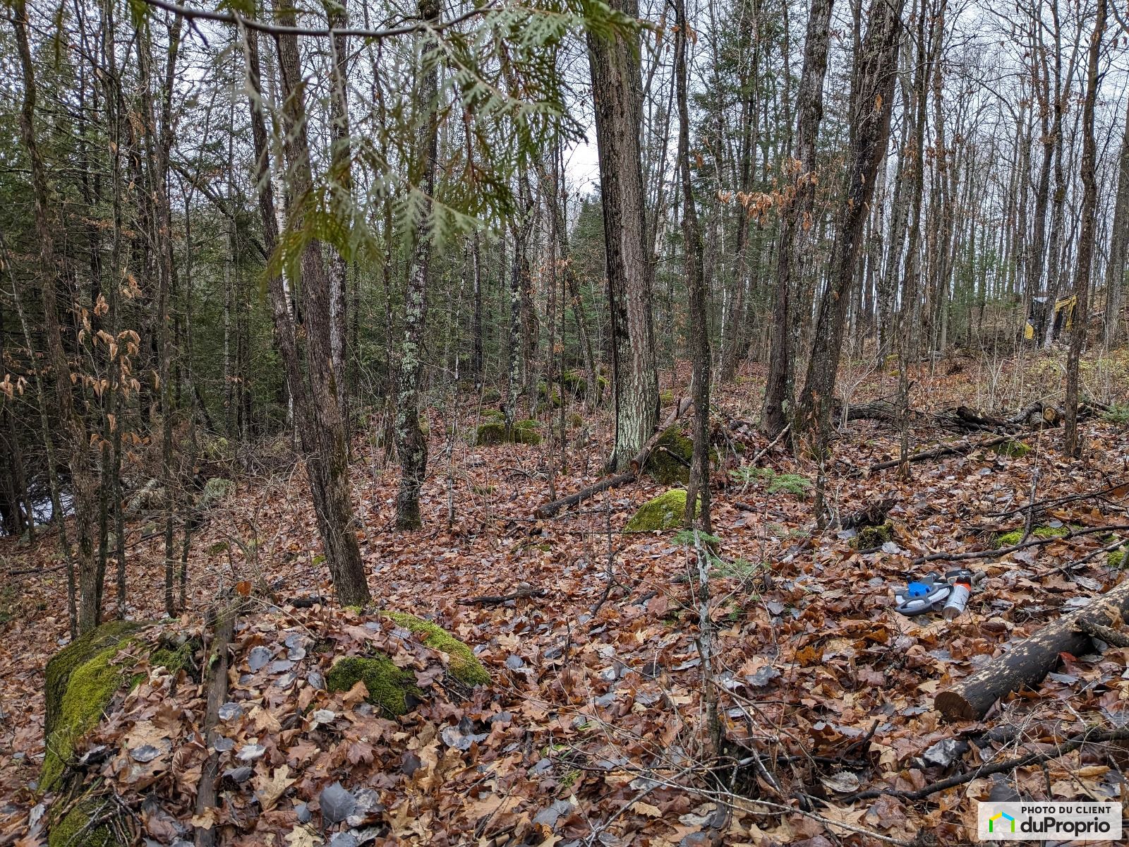 X Chemin Du Panorama — photo 2