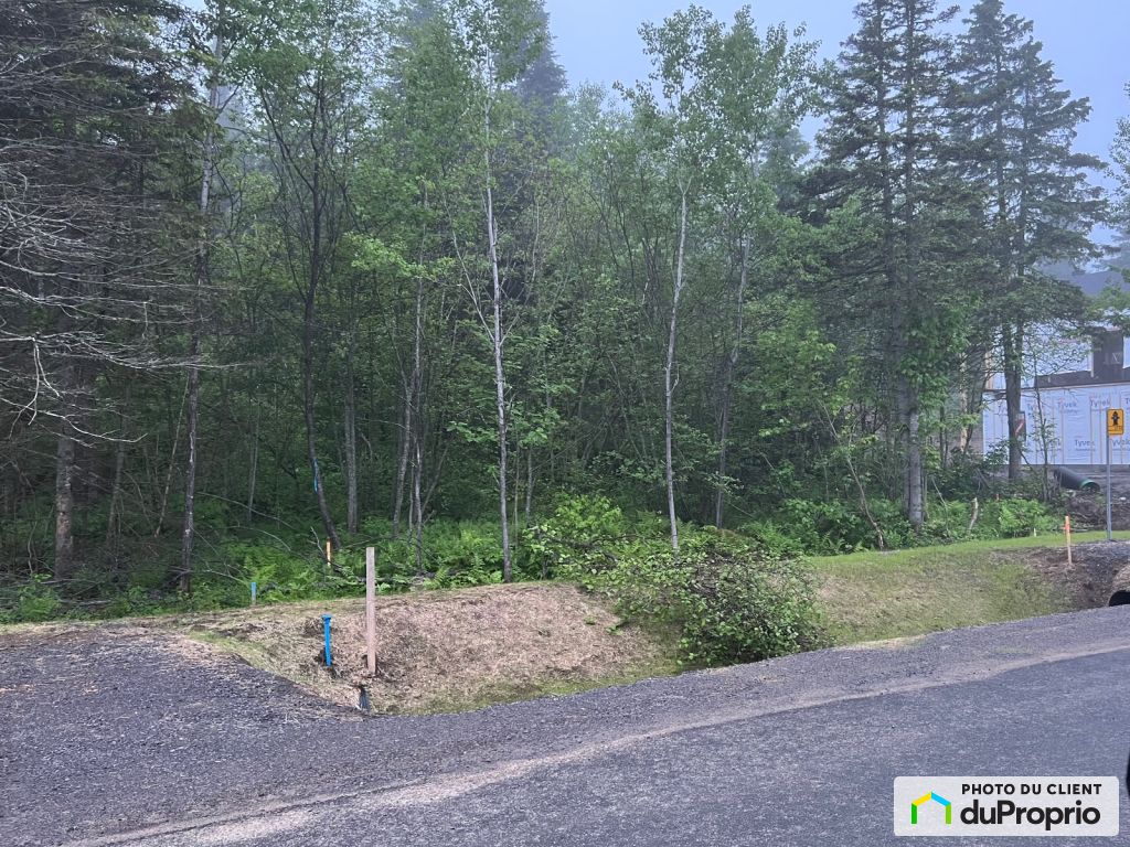 Condos, maisons à vendre, StFerréollesNeiges