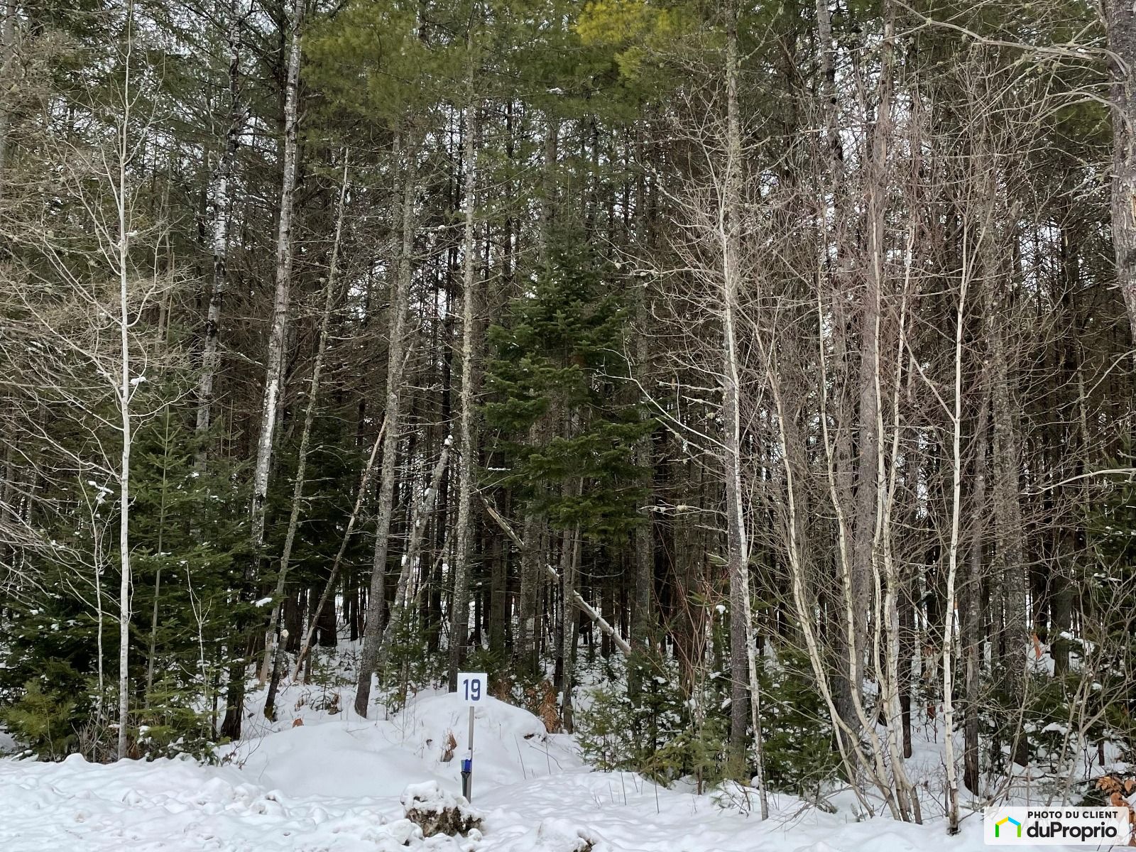 Terrain résidentiel à vendre StAlexisDesMonts 1061529