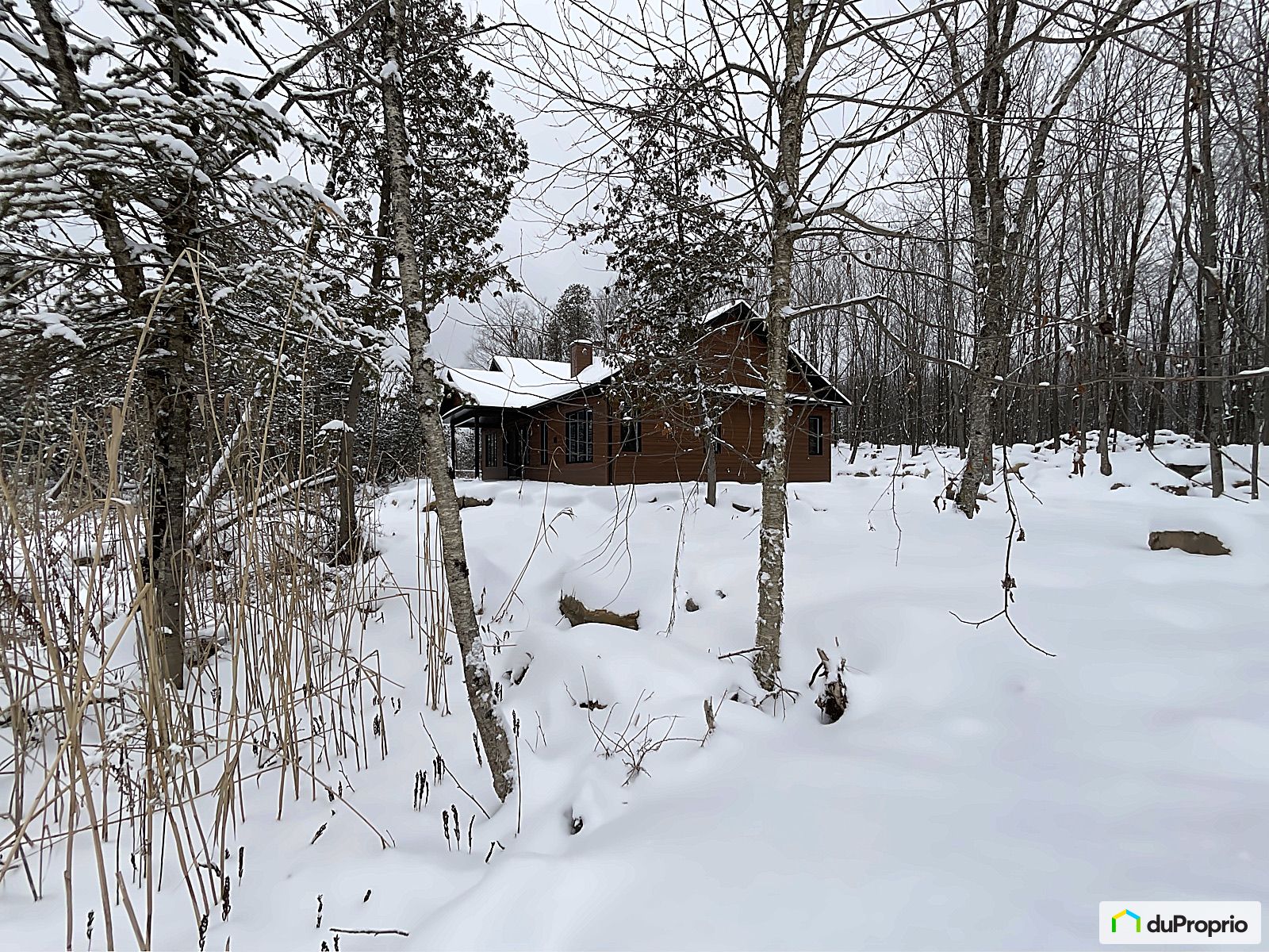 Bungalow à vendre StJoachimDeShefford 4 chambres 1059661