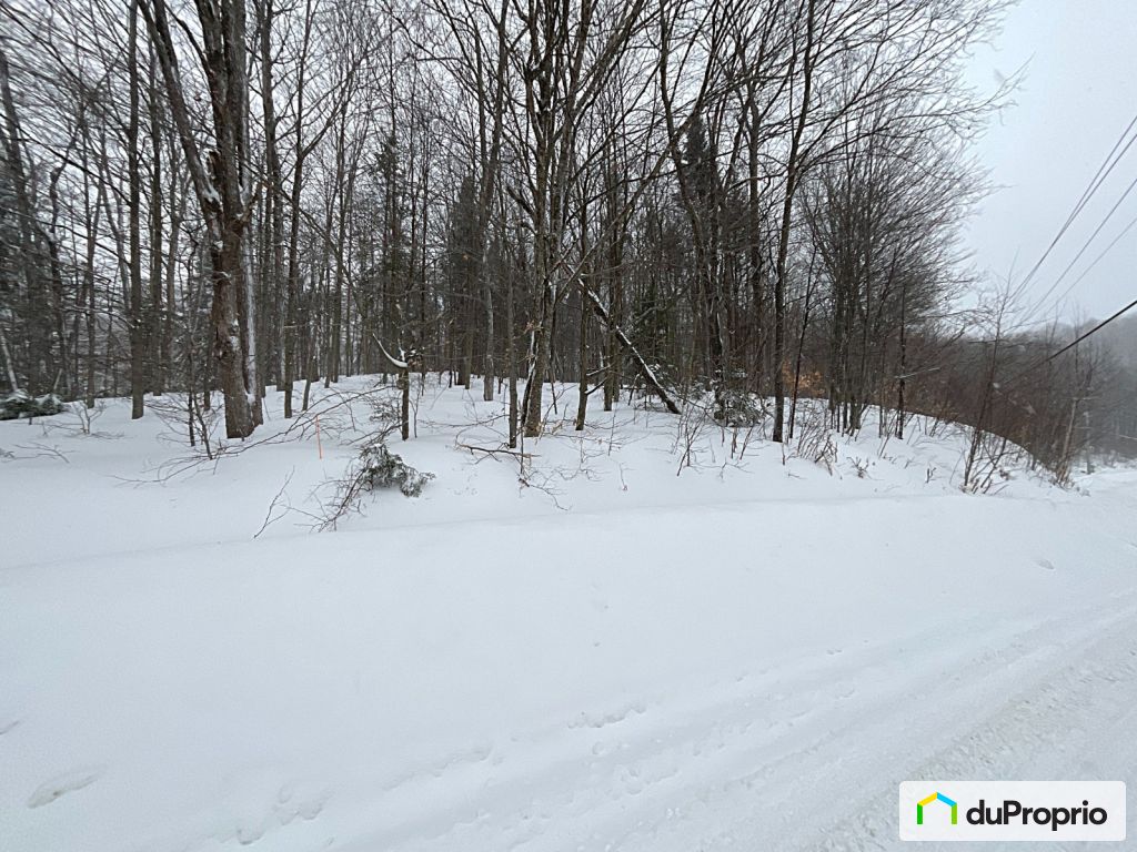 Condos, maisons à vendre, StAdolpheD'Howard