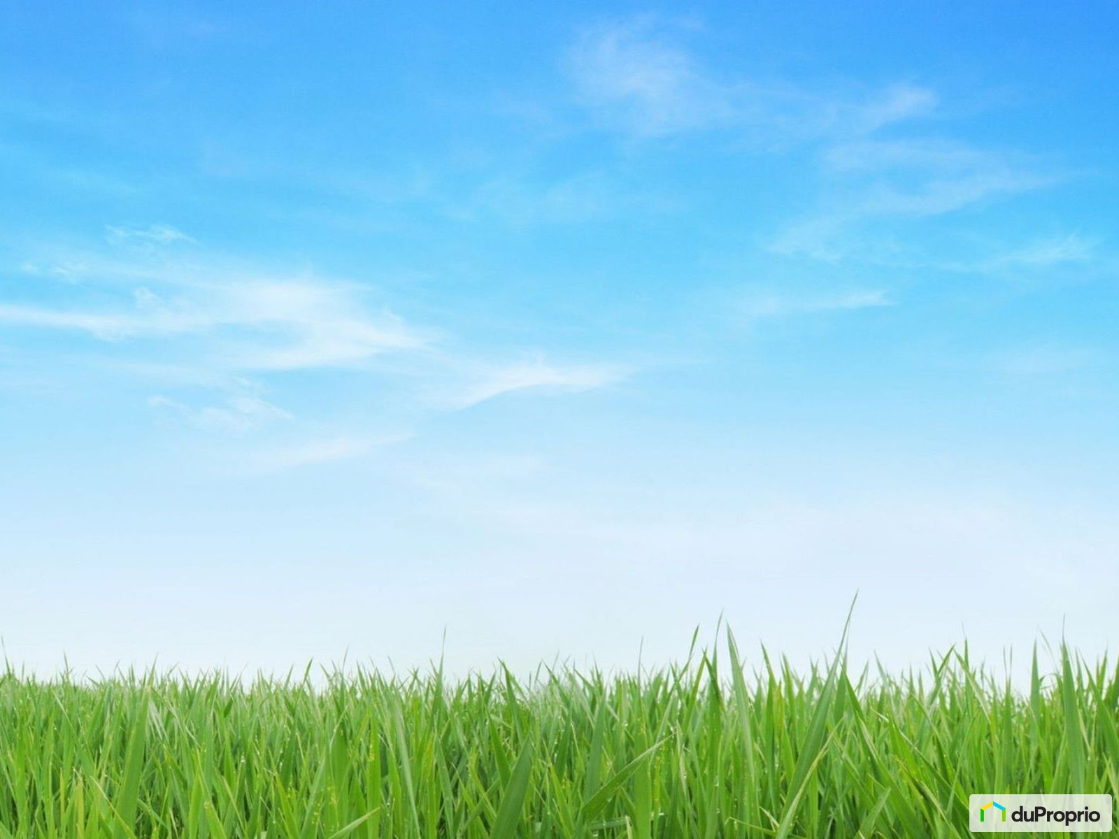 Terrain résidentiel à vendre SteCatherinedelaJC 994737