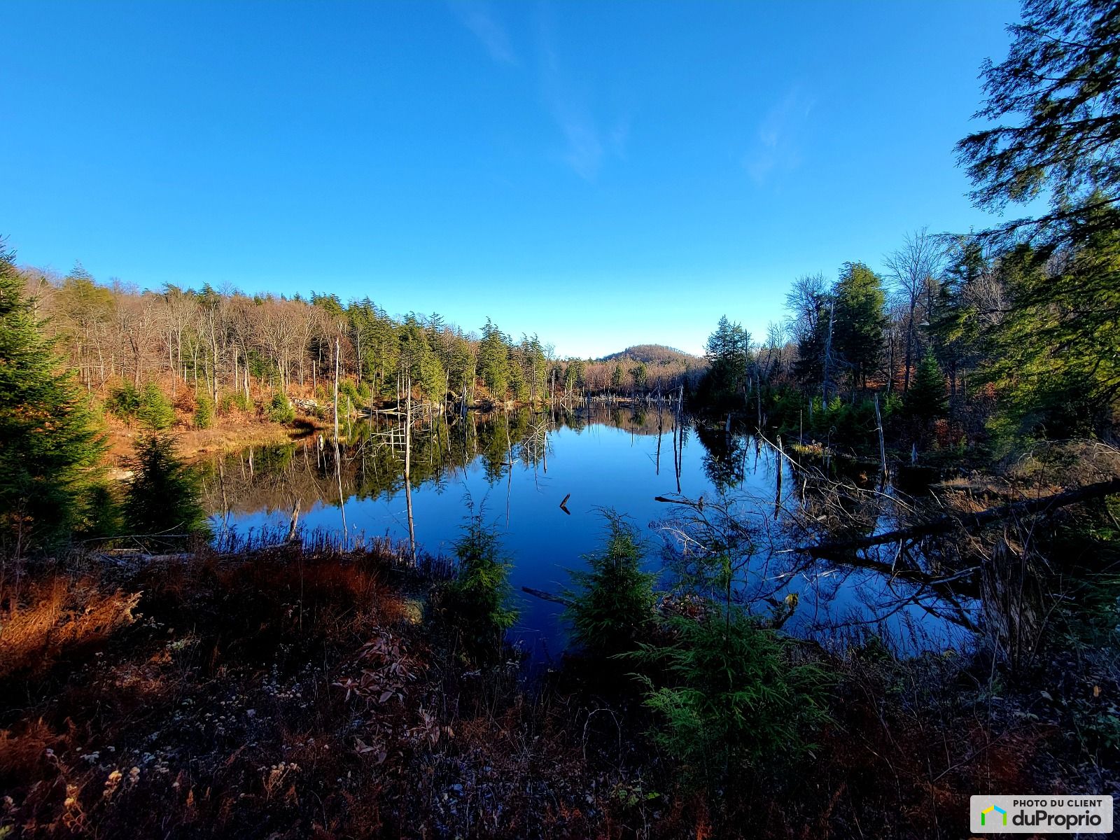 Chemin Scotch — photo 1