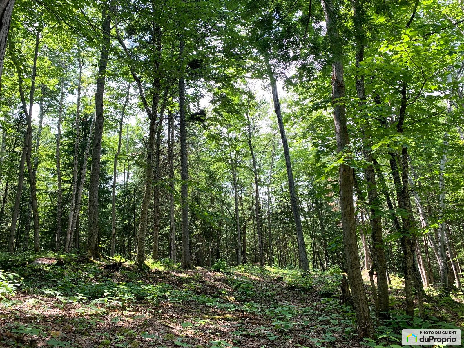 15 Chemin Des Perseides — photo 3