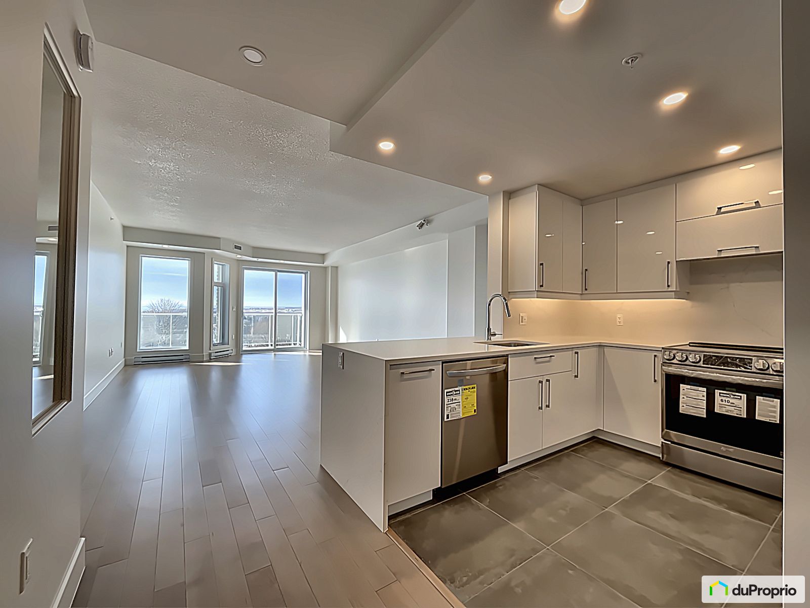 Condo à vendre StAugustinDeDesmaures 2 chambres 1065112