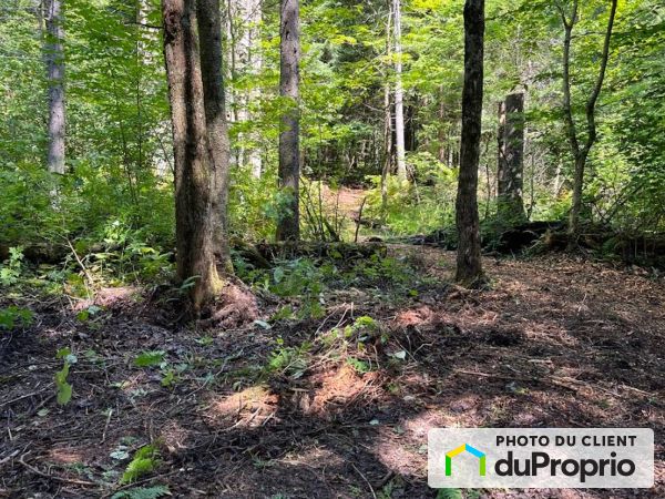 4683 rue Jean-Saulnier, Orford à vendre